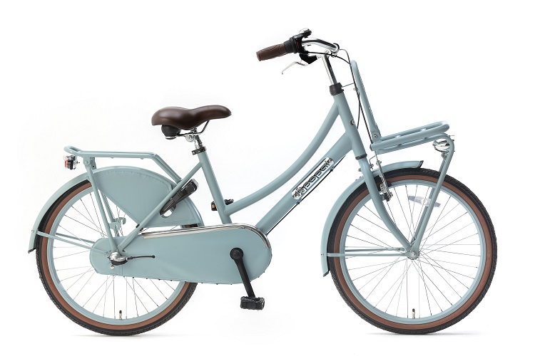 lezer breed Gezichtsveld Popal Daily Dutch Basic Plus N3 22inch Meisjes Transportfiets