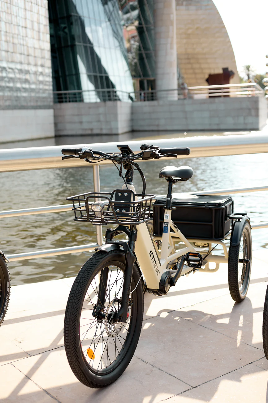 091A6010_65210472-b69e-4cd2-a2ea-abd1be397dbb ETNNIC Classic Driewieler – Compacte driewieler met Fat-banden - Afbeelding 4