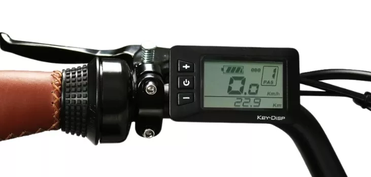 x541293070.jpg.pagespeed.ic.r-fqc2XbVE Van Raam Swing Compact Fold – Elektrische Driewieler - Afbeelding 2