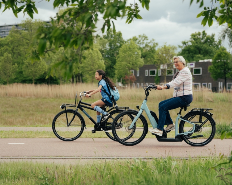 Elektrische fiets Lage instap Suelo 2026 model Extra lage instap fiets Elektrische fiets Lage instap Suelo 2026 model Extra lage instap fiets